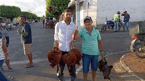 Vanio Da Feira Das Galinhas Mostrando As Novidades Do Igasi Al