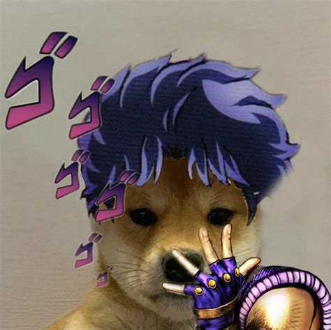 Dog with hat jojo | Immagini divertenti, Arte delle anime, Immagini