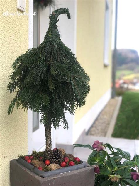 Zipfelbäumchen schnelle Deko für draußen Deko garten weihnachten