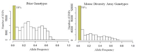 Allele Frequencies In Genotyping Datasets Histograms Of The Allele