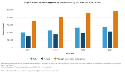 Insights Into Homelessness And Marginal Housing A Comprehensive Analysis Of Census Data Estimates