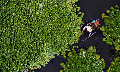 Stunning Photographs Show Magical Wetlands In China Wetland Wetland