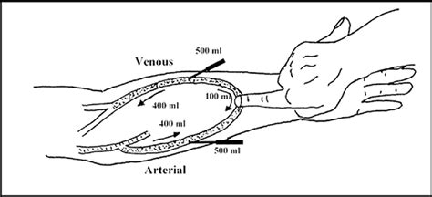 Figure 1 From A Practitioner S Resource Guide To Physical Examination