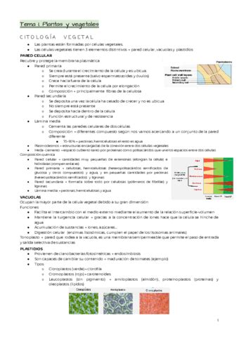 Biologia Y Fisiologia Vegetal Apuntes Completos Pdf