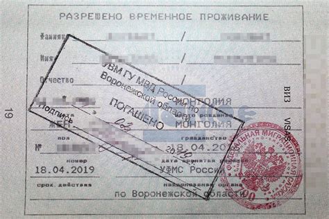 РВП в России в 2022: как получить, документы, подача заявления, сроки ...