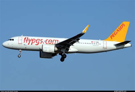 Pegasus Airlines Airbus A Tc Nbb Photo Airfleets Aviation