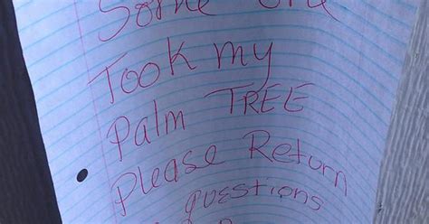 Curse You Palm Tree Thief Man Album On Imgur