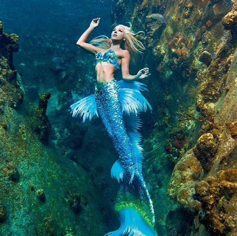 A Mermaids Tale In 2024 Professional Mermaid Mermaid Photography