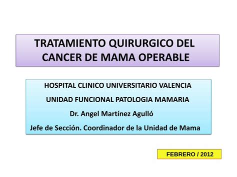 PDF TRATAMIENTO QUIRURGICO DEL CANCER DE MAMA PDF FileCANCER DE