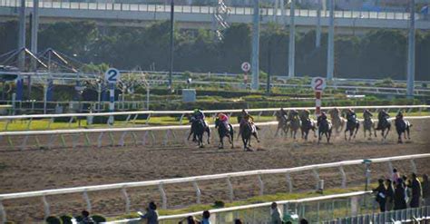 競馬予想 馬キュン フェブラリーステークス 2024 うまんちゅ予想 芸人馬券