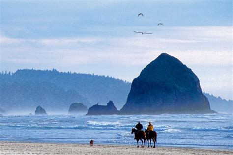 Best Hiking Trails Near Cannon Beach Oregon | Cannon beach oregon ...