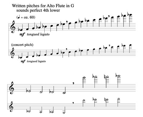 Instrument Studies for Eyes and Ears