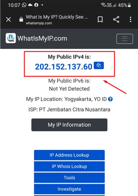 Apa Itu IP Public Pengertian Dan Cara Pengecekannya