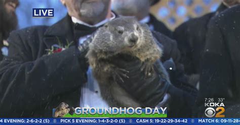 Punxsutawney Phil Predicts Early Spring Breaks Year Record Cbs