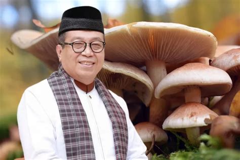 Pimpin Daerah Penghasil Jamur Terbesar Di Sumatera Barat Harta