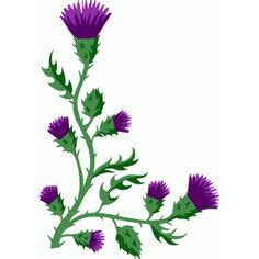 Free Thistle File Scottish Thistle Heraldry Svg Thistles And Sundry