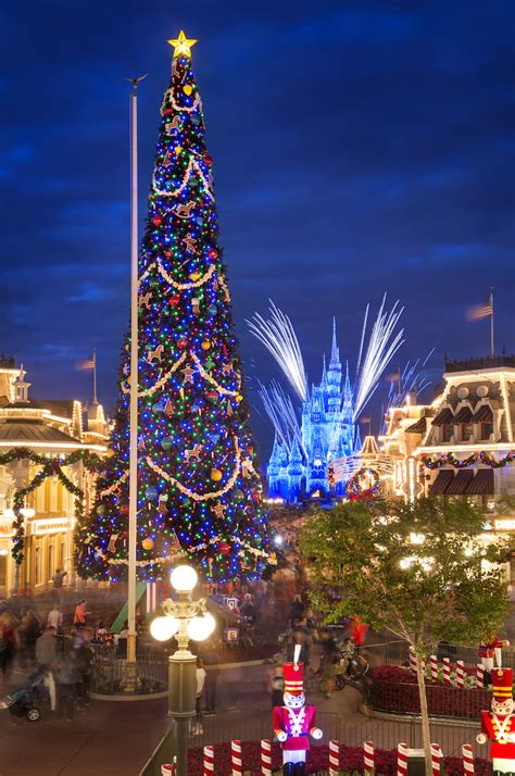 When Do Christmas Decorations Go Up At Disneyland 2019 Shelly Lighting