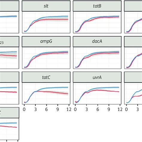 Growth Curves Of Isogenic Mutants For Genes Identified By Tradis