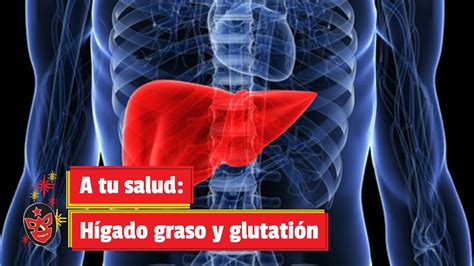 A tu salud Hígado graso y glutatión YouTube