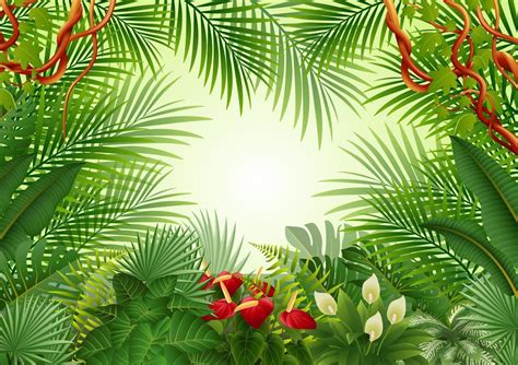 Tropical plants background 10228099 Vector Art at Vecteezy