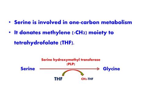 SERINE & THREONINE METABOLISM | PPT