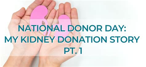 National Donor Day My Kidney Donation Story Pt 1 Pkd Foundation Blog