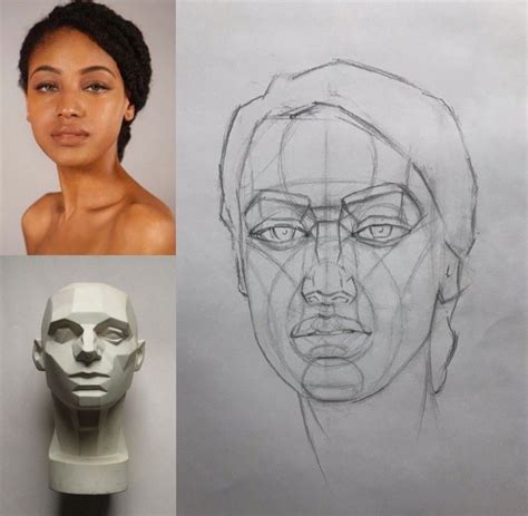 Drawing The Human Head Drawing Heads Human Anatomy Drawing Face