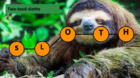 Sexual Sloth Meme