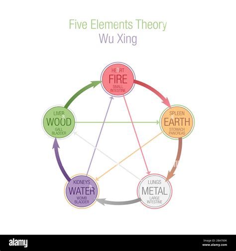 Five Elements Tcm