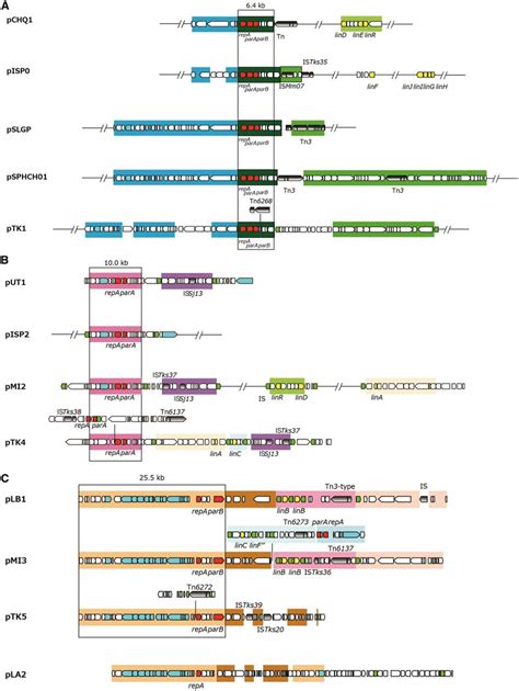 Structures Of Plasmids Which Have The Highly Conserved Regions In The