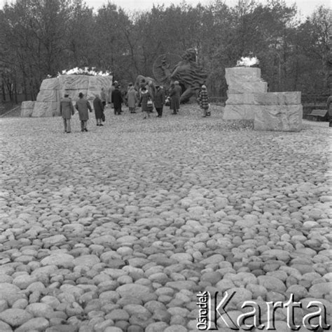 Fotokarta Nasze Zbiory Kolekcje Listopad Warszawa Polska