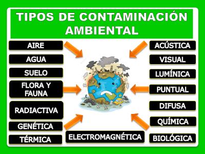 Tipos De Contaminaci N Ambiental