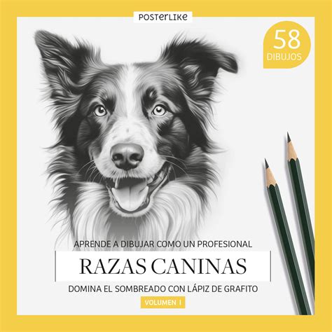 Aprende A Dibujar Como Un Profesional Razas Caninas Domina El