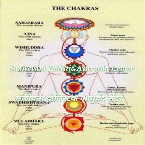 Siddha Healing Therapy - Holistic Therapist Directory