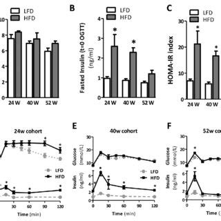 Hfd Feeding Leads To Hepatic Steatosis After Weeks But Inflammation