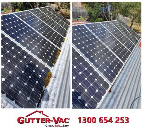 Do You Have Moss Growing On Your Solar Panels? - Gutter-Vac