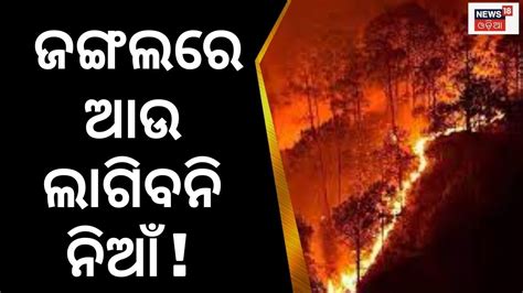 Forest Fire Mayurbhanj Forest Fire