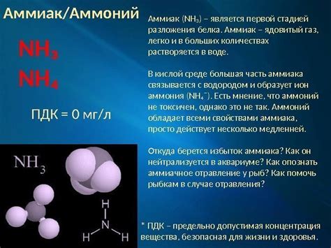 Аммиак и аммоний в аквариумной воде | Отравление аквариумных рыб NH3 ...