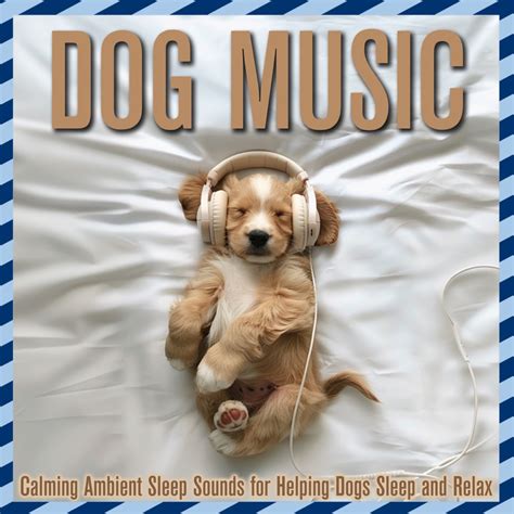 Dog Music: Calming Ambient Sleep Sounds for Helping Dogs Sleep and ...