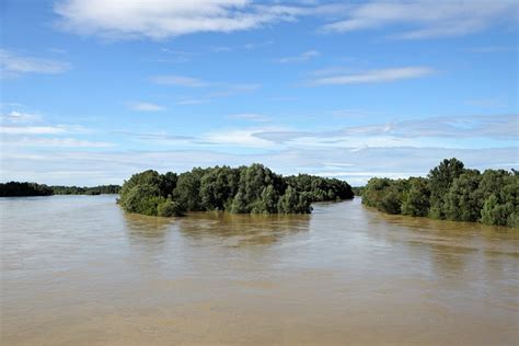 Drava River Flood Flooding High - Free photo on Pixabay - Pixabay