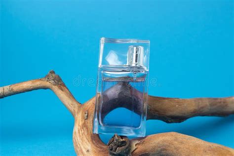 A Bottle Of Men S Cologne On A Branch On A Blue Background Stock Photo