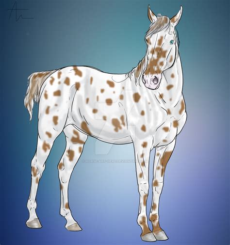 Appaloosa Horse by horse-art-here on DeviantArt