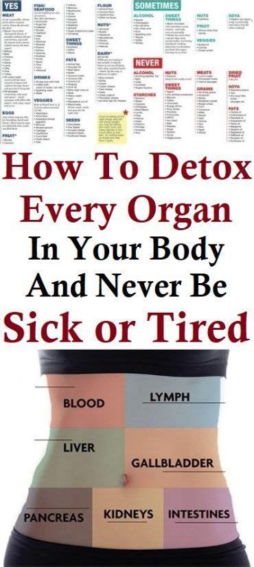 How To Detox Every Organ In Your Body And Never Be Sick Or Tired