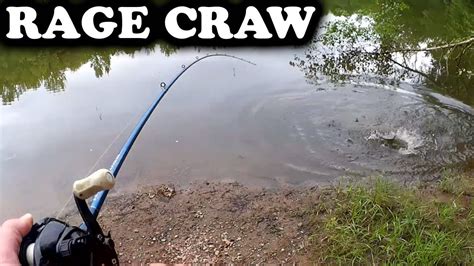 Bass Fishing With A Texas Rig Rage Craw Shallow Water Bass Are Back