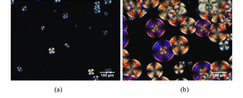 Optical micrograph of a sample crystallized at 120 °C after 457 s (a ...