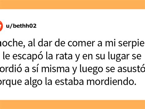 Cuál es la cosa más estúpida que has visto hacer a tu mascota 30