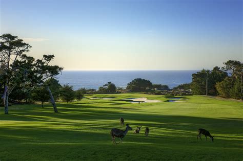 The Sensational Start At Spyglass Hill