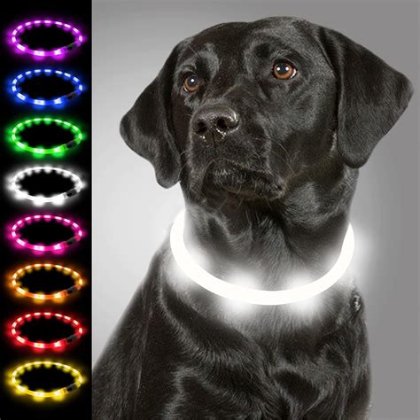 7 Chollos Collar Perro Led Durante El Blackfriday Actualizado 2024