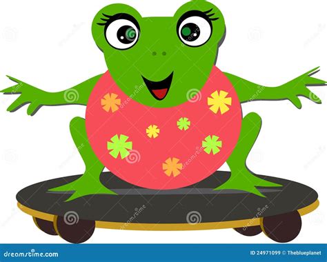 Sweet Frog On A Skateboard Royalty Free Stock Images Image 24971099