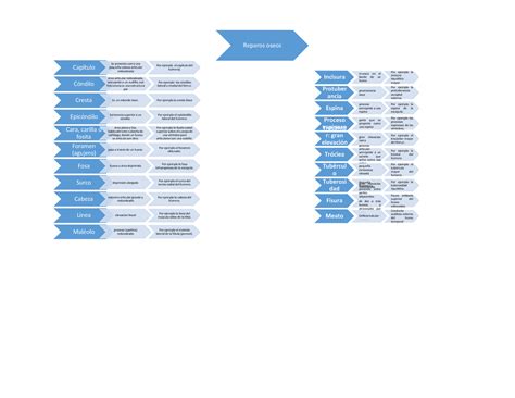Reparos Oseos Apuntes 1 Medicina UCSG Studocu